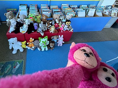Viele aufgereihte Kuscheltiere auf einem Hocker vor einem Medientrog